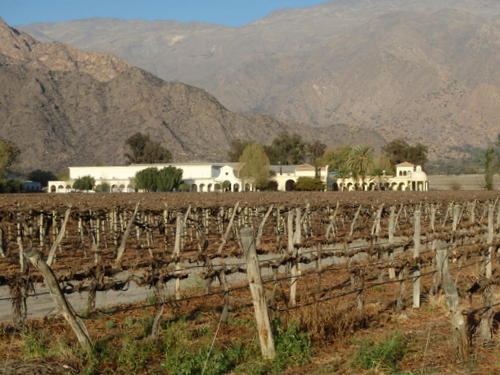 As we depart Cafayate on Ruta 40 we see many Bodegas/Wineries.